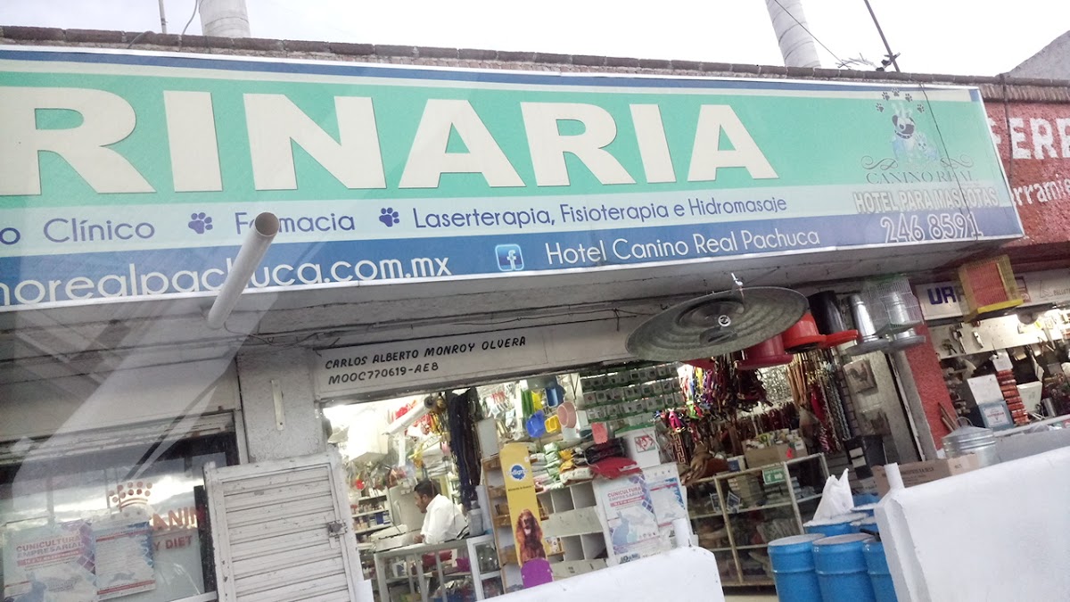 HOTEL PARA MASCOTAS 'CANINO REAL'